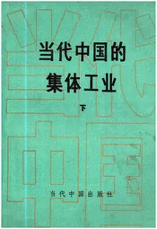 当代中国的集体工业 下
