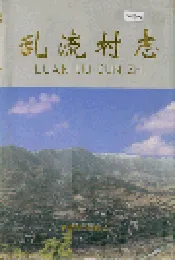 乱流村志