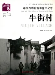 中国白族村落影像文化志：牛街村