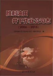 胜利油田井下作业公司志2006-2015