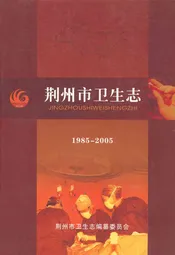 荆州市卫生志(1985~2005)