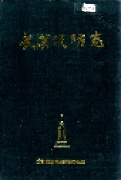 武汉堤防志