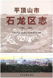 平顶山市石龙区志