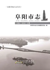 阜阳市志（1986~2010）下册