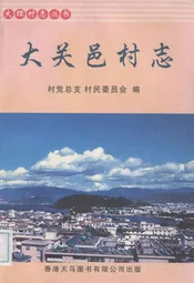 大关邑村志