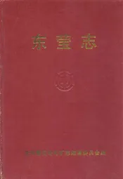 东莹志