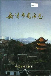 岳阳市南区志