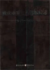 重庆市第三人民医院志 1945-2011