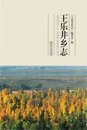 王乐井乡志