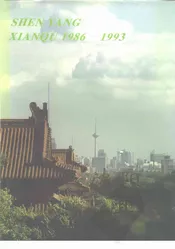 沈阳县区