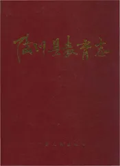 陆川县教育志