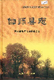 伽师县志