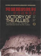 同盟国的胜利——抗日战争图志 3