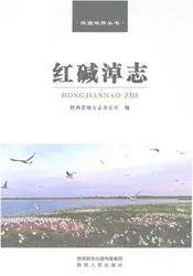 红碱淖志