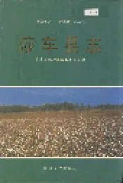 莎车县志