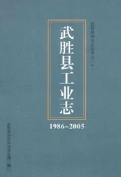 武胜县工业志(1986-2005)