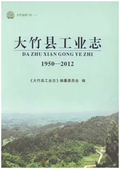 大竹县工业志1950-2012