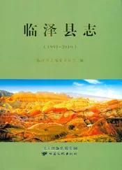 临泽县志  （1991-2010） 1