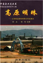 高原明珠——云南铝业股份有限公司发展史