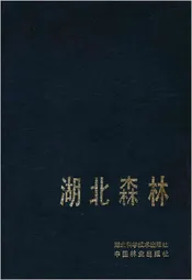 湖北森林