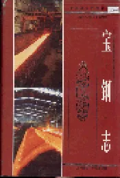 宝钢志