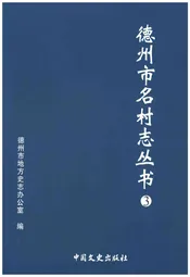 德州市名村志丛书 3