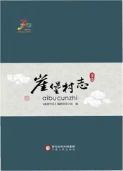 崖堡村志