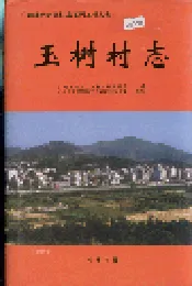 玉树村志