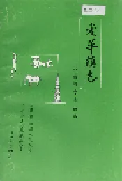 爱华镇志