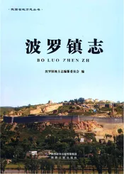 波罗镇志