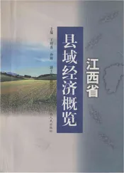 江西省县域经济概览