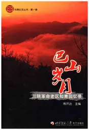 巴山岁月 川陕革命老区知青回忆录