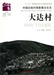 中国白族村落影像文化志：大达村