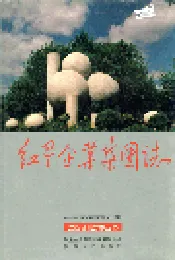 红星企业集团志