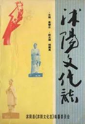 沭阳文化志