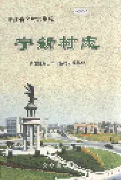 宁新村志