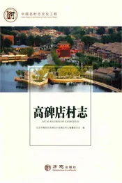 中国名村志丛书-高碑店村志