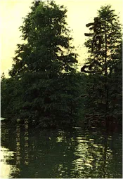 青山湖志