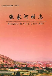 张家河村志