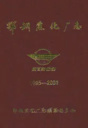 鄂钢焦化厂志(1995-2001)