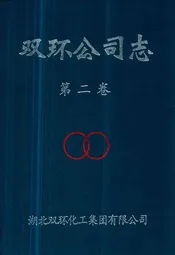 双环公司志第二卷
