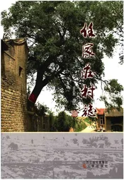 任家庄村志