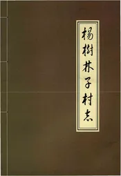 扬树林子村志