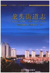 龙头街道志