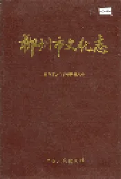 柳州市文化志