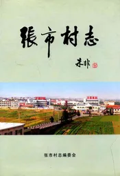张市村志