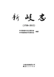 新歧志