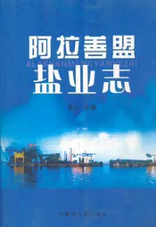 阿拉善盟盐业志