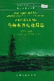 乌鲁木齐电业局志