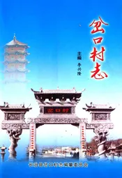 岔口村志